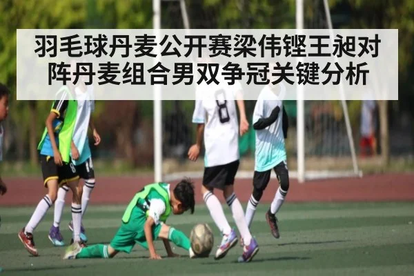 羽毛球丹麦公开赛梁伟铿王昶对阵丹麦组合男双争冠关键分析